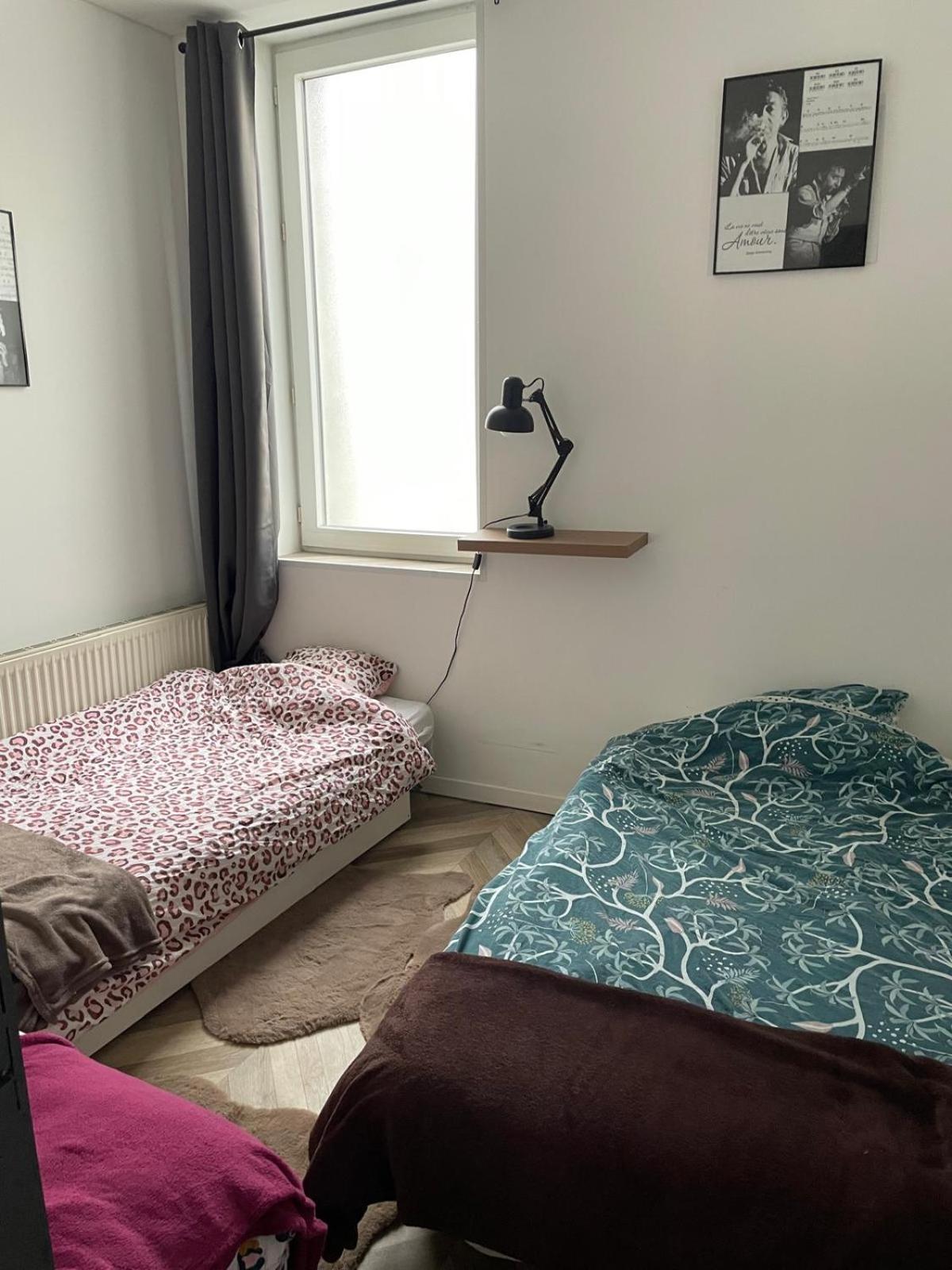 Apartment En Rez De Chaussez
